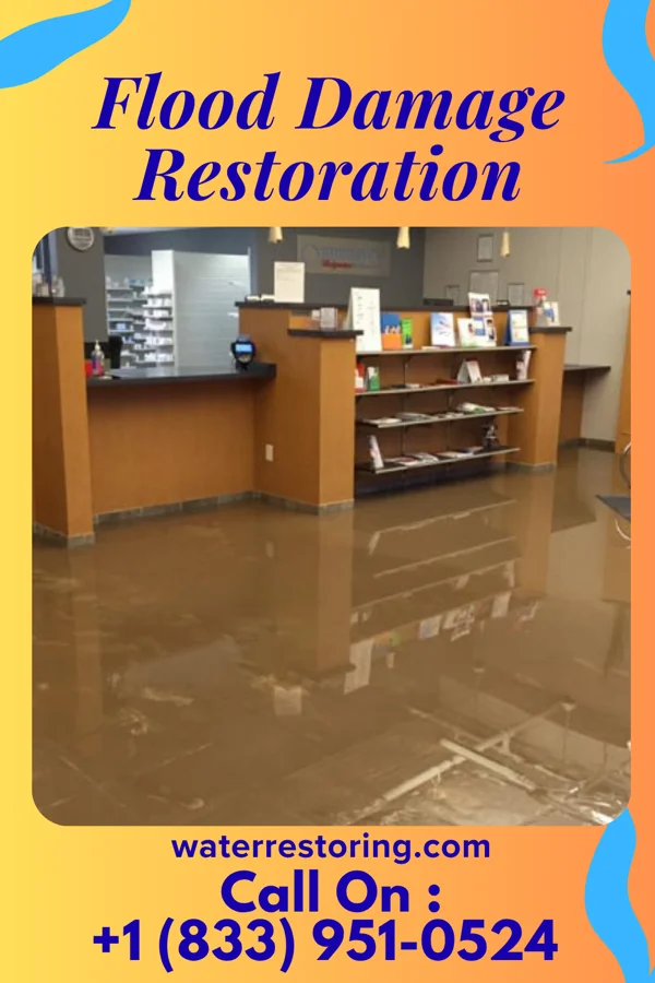 Flood Damage Restoration in Waconia, MN