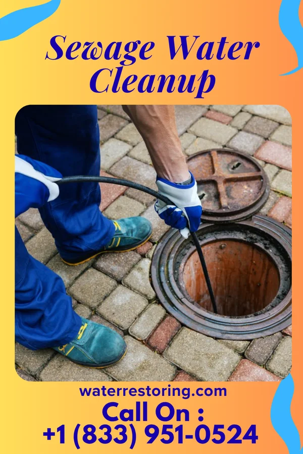 Sewage Water Cleanup in Waconia, MN